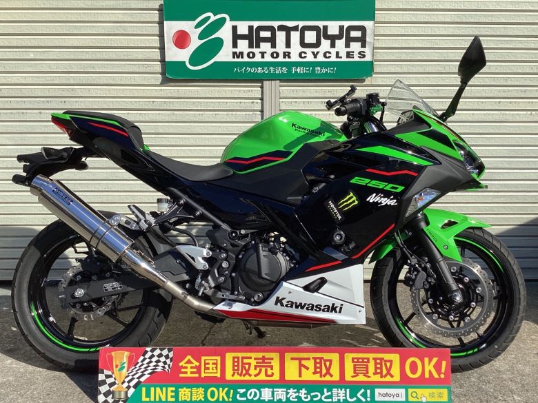 中古 カワサキ Ｎｉｎｊａ　２５０