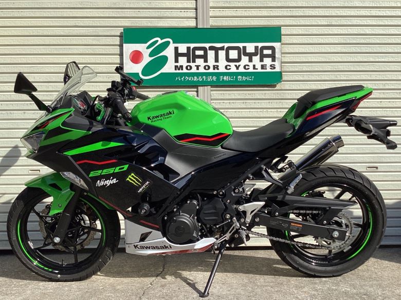 Ｎｉｎｊａ　２５０