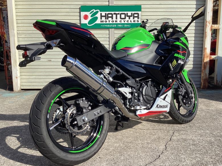 Ｎｉｎｊａ　２５０