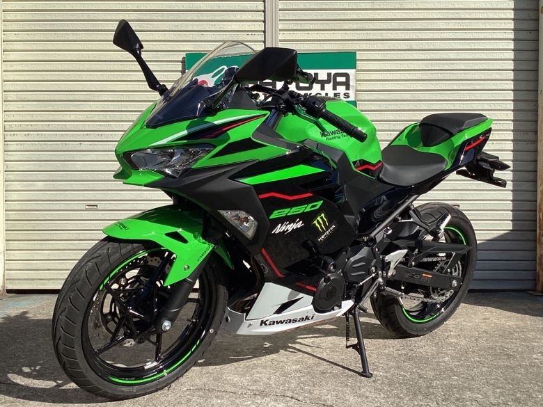 Ｎｉｎｊａ　２５０