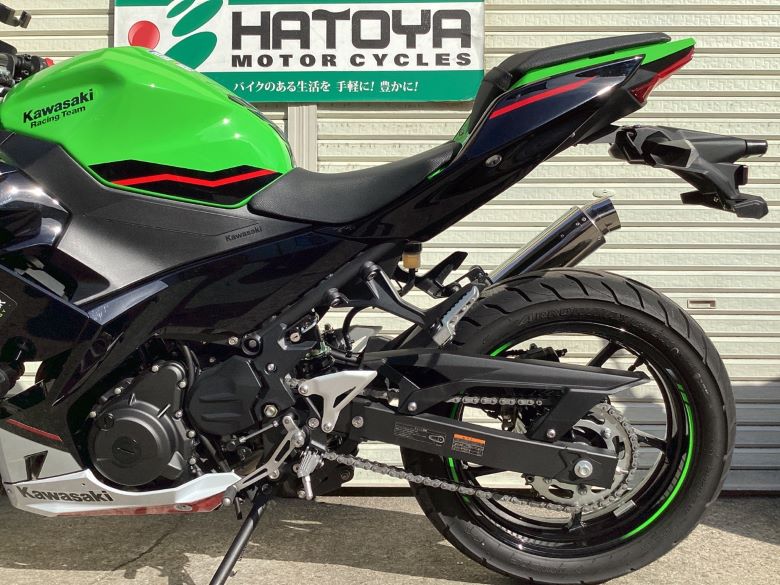 Ｎｉｎｊａ　２５０