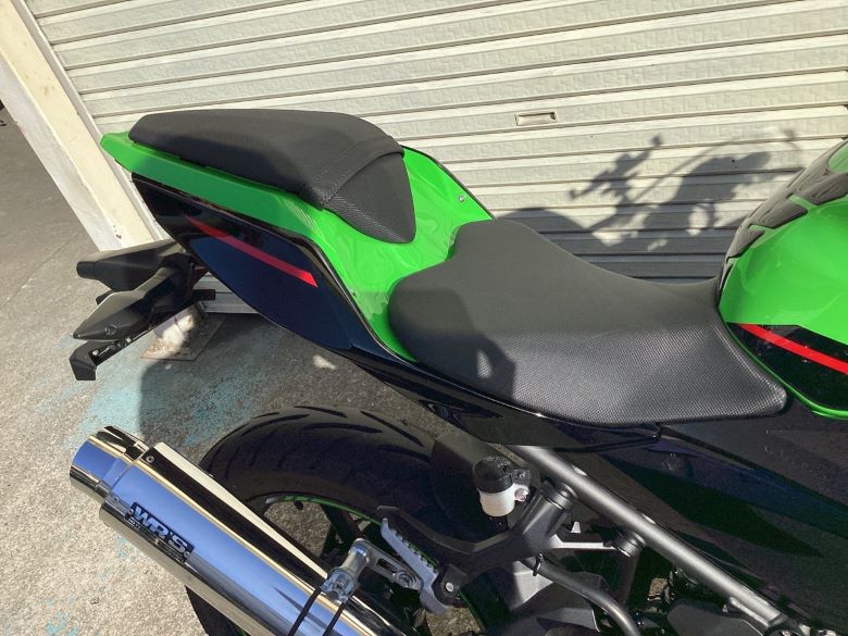 Ｎｉｎｊａ　２５０