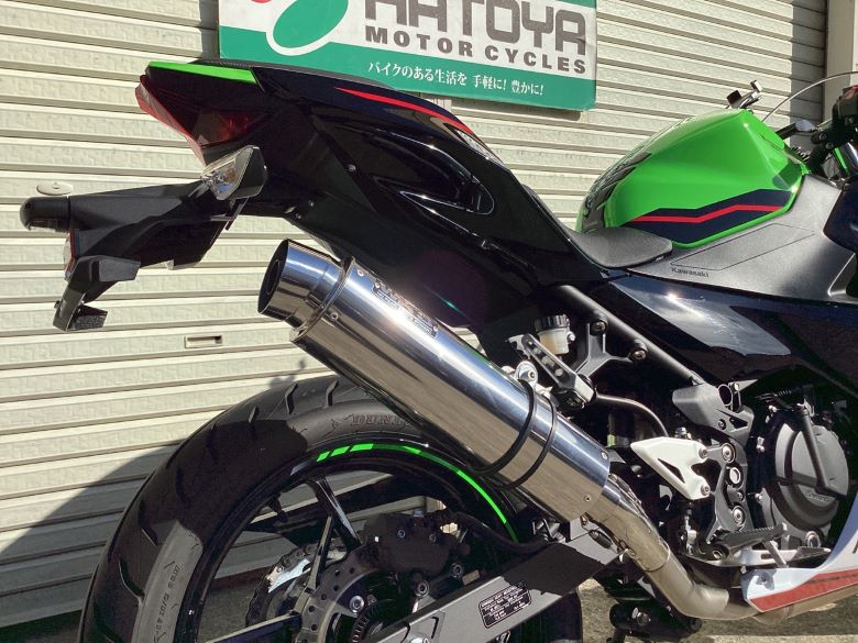 Ｎｉｎｊａ　２５０