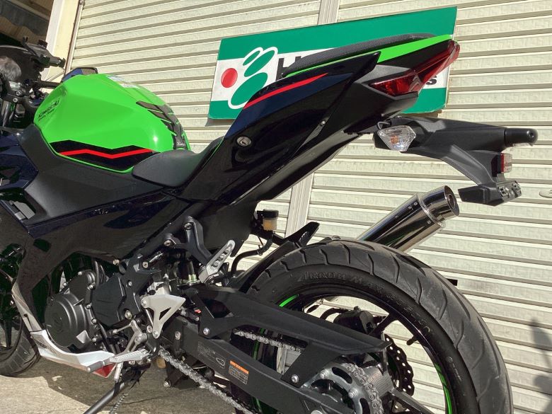 Ｎｉｎｊａ　２５０