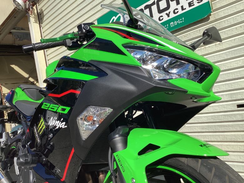 Ｎｉｎｊａ　２５０