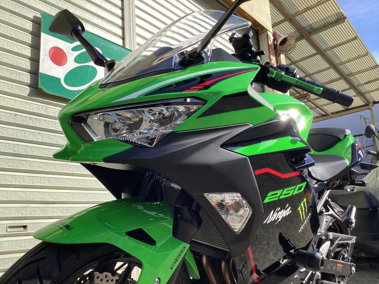 Ｎｉｎｊａ　２５０