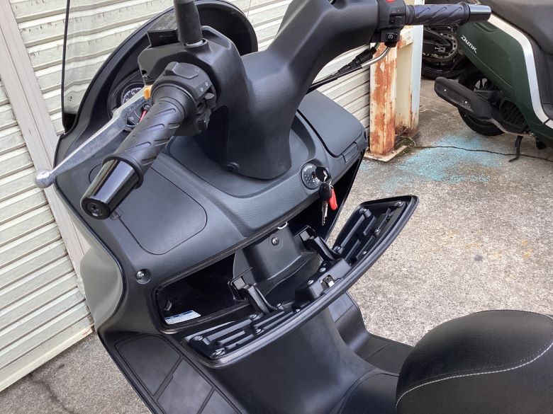 バーグマン２００