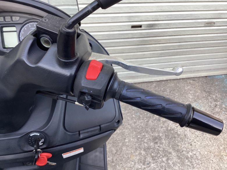 バーグマン２００