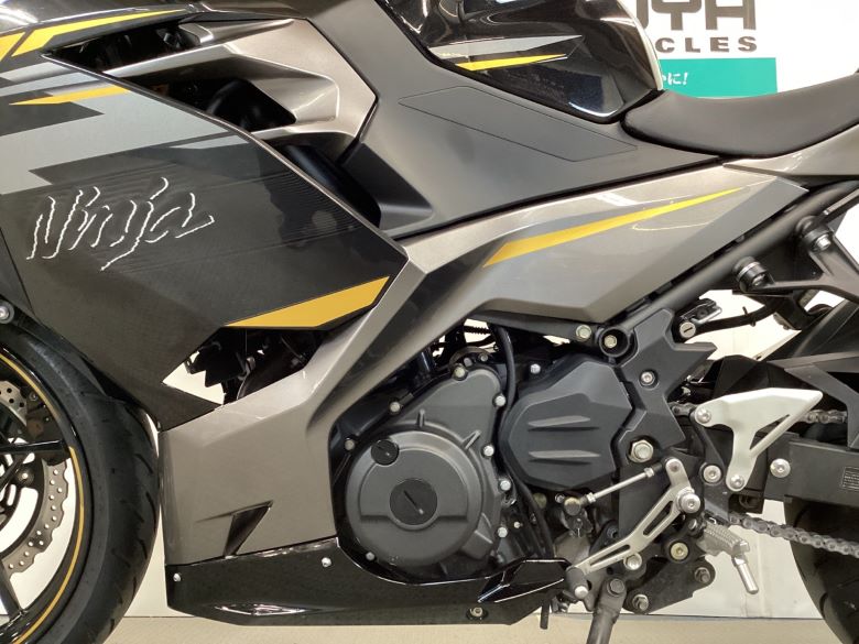 Ｎｉｎｊａ　４００