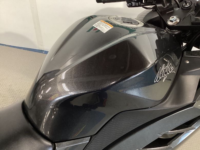 Ｎｉｎｊａ　２５０