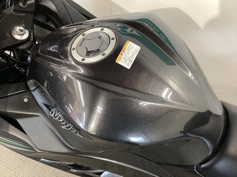 Ｎｉｎｊａ　２５０