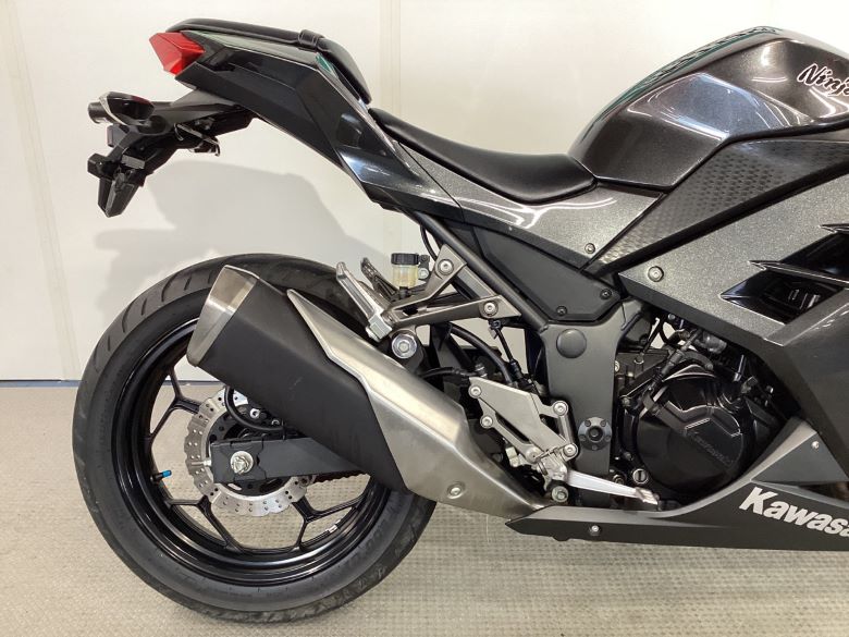 Ｎｉｎｊａ　２５０