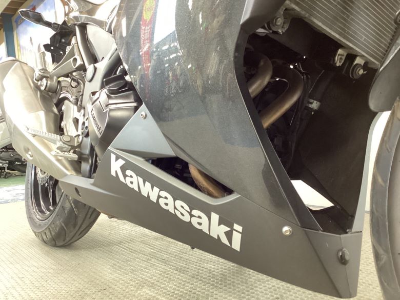 Ｎｉｎｊａ　２５０