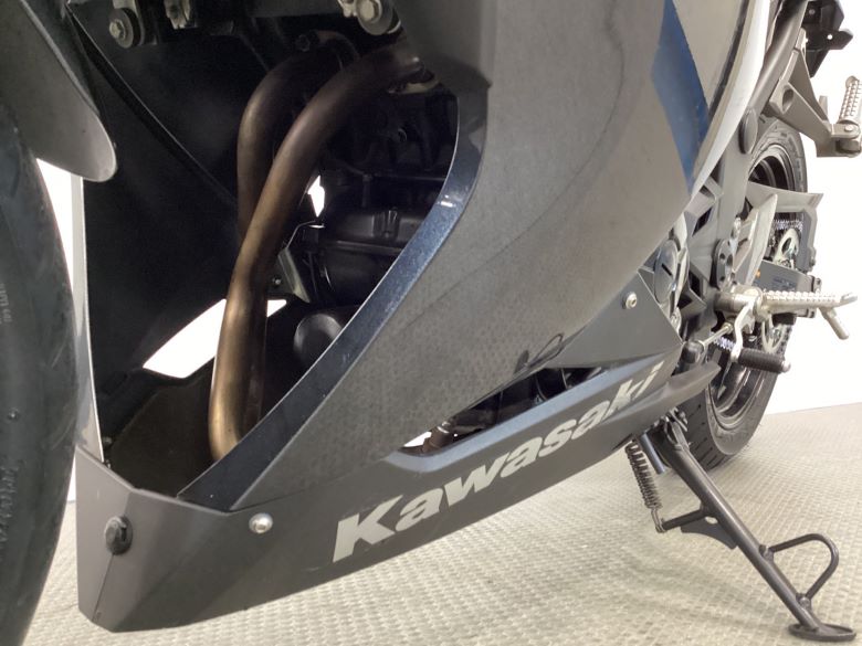 Ｎｉｎｊａ　２５０