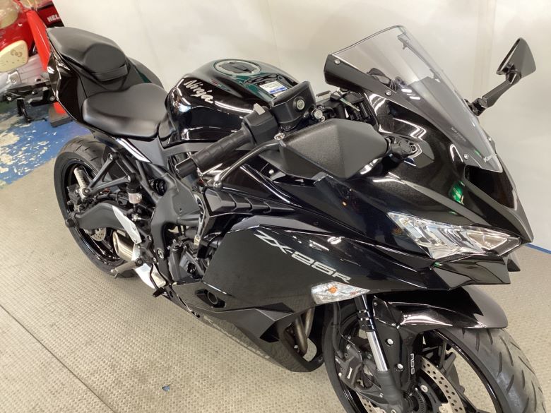 Ｎｉｎｊａ　ＺＸ−２５Ｒ