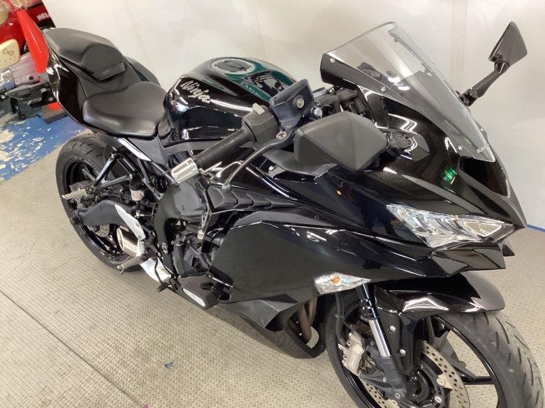 Ｎｉｎｊａ　ＺＸ−２５Ｒ