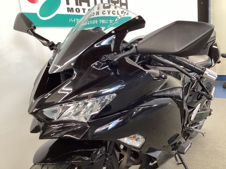 Ｎｉｎｊａ　ＺＸ−２５Ｒ