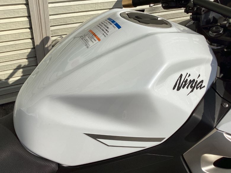 Ｎｉｎｊａ　４００