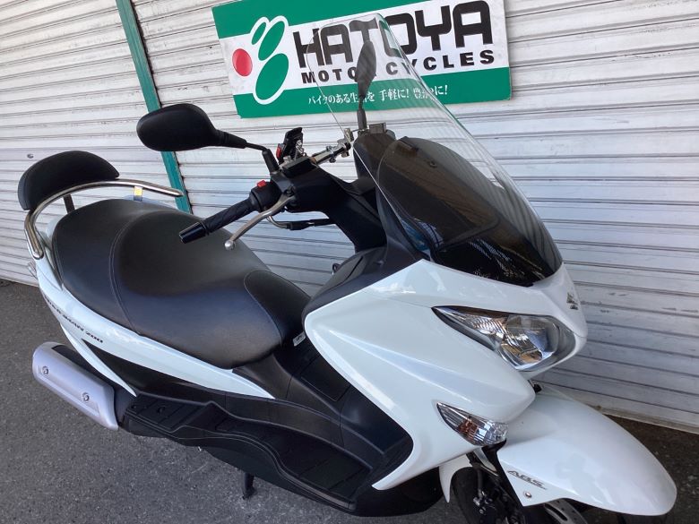 バーグマン２００