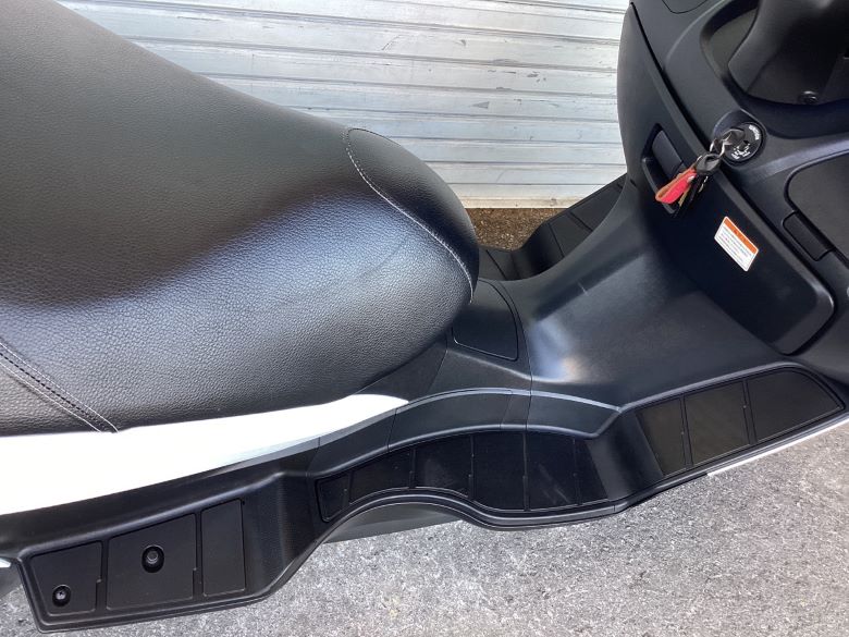 バーグマン２００