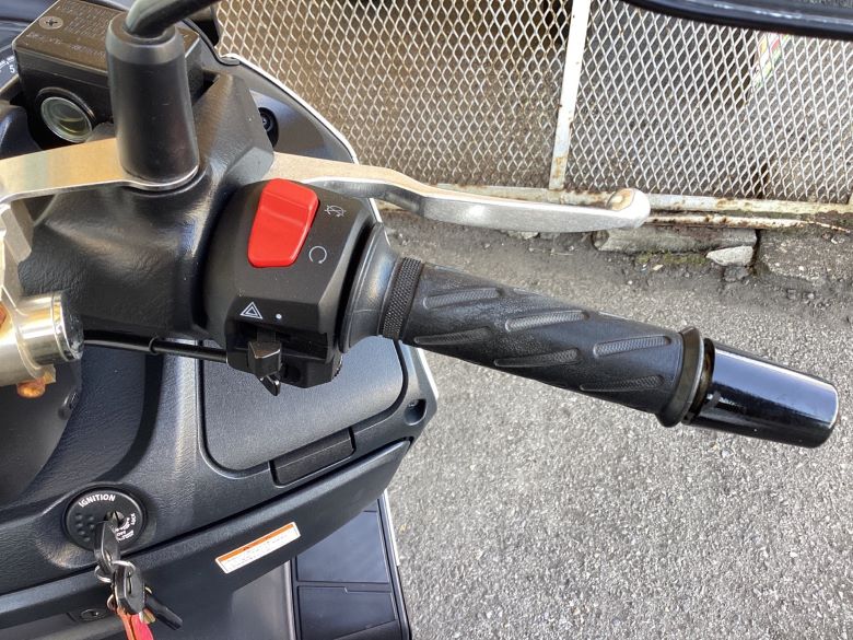 バーグマン２００