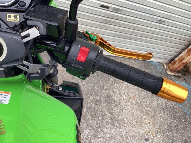 ＺＲＸ１２００　ＤＡＥＧ