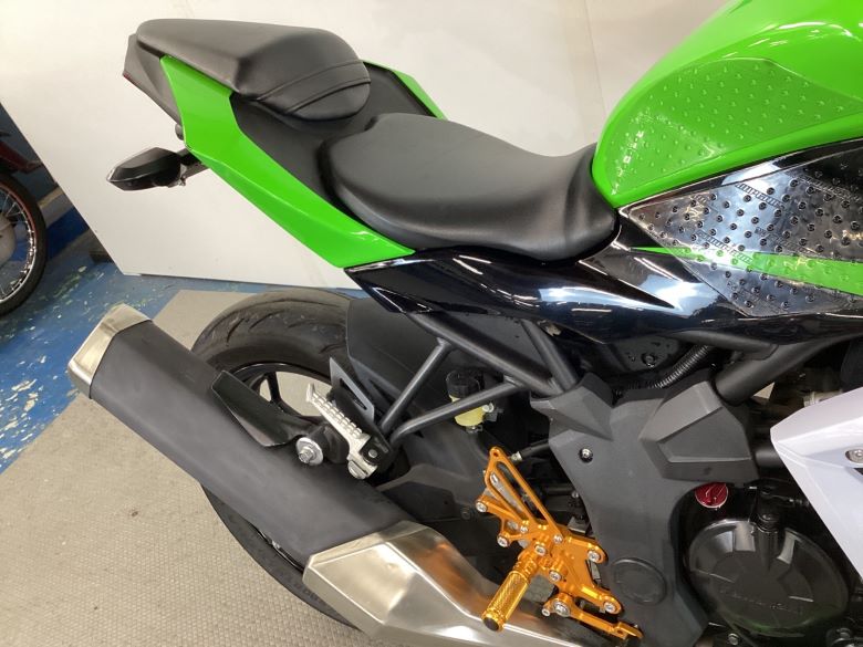 Ｎｉｎｊａ　２５０ＳＬ