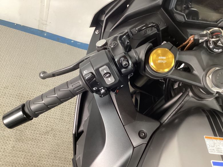 Ｎｉｎｊａ　ＺＸ−４Ｒ　ＳＥ