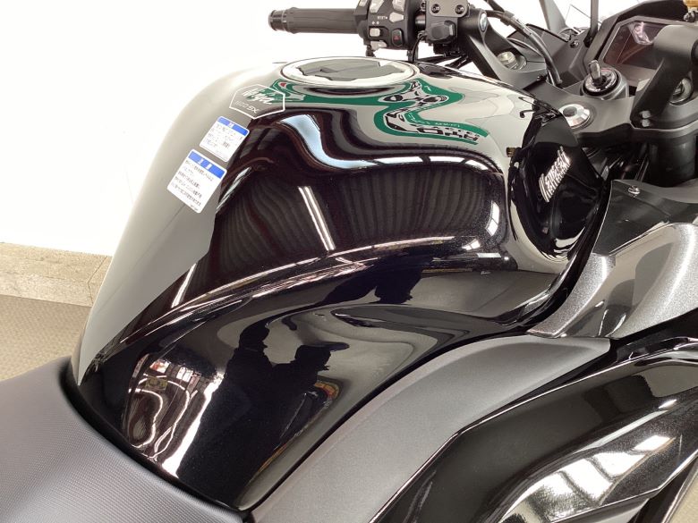 Ｎｉｎｊａ　１１００　ＳＸ