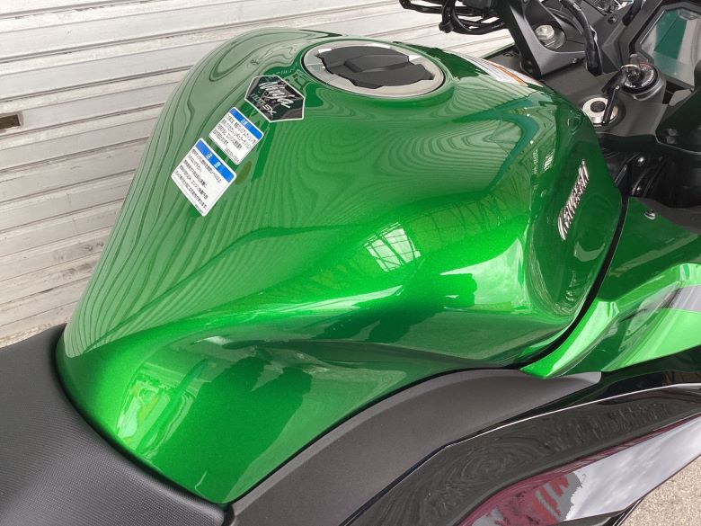 Ｎｉｎｊａ　１１００　ＳＸ　ＳＥ