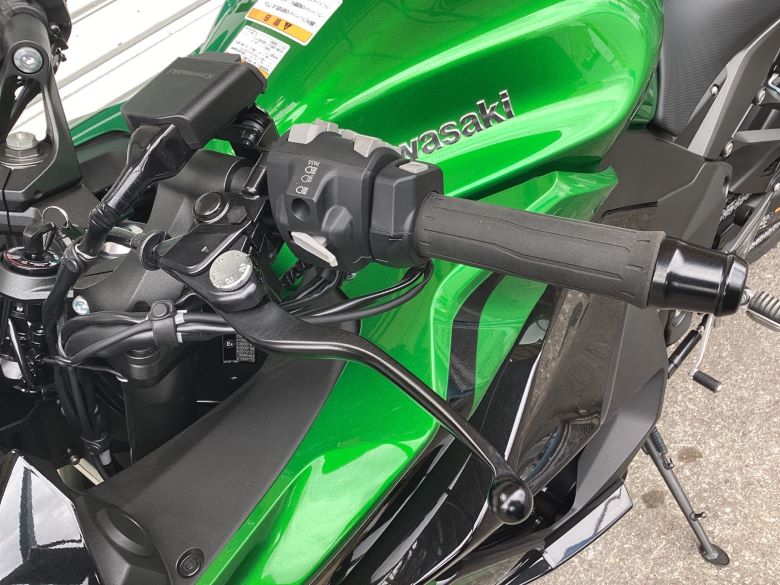 Ｎｉｎｊａ　１１００　ＳＸ　ＳＥ