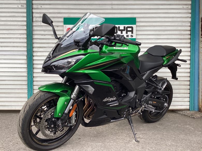 Ｎｉｎｊａ　１１００　ＳＸ　ＳＥ