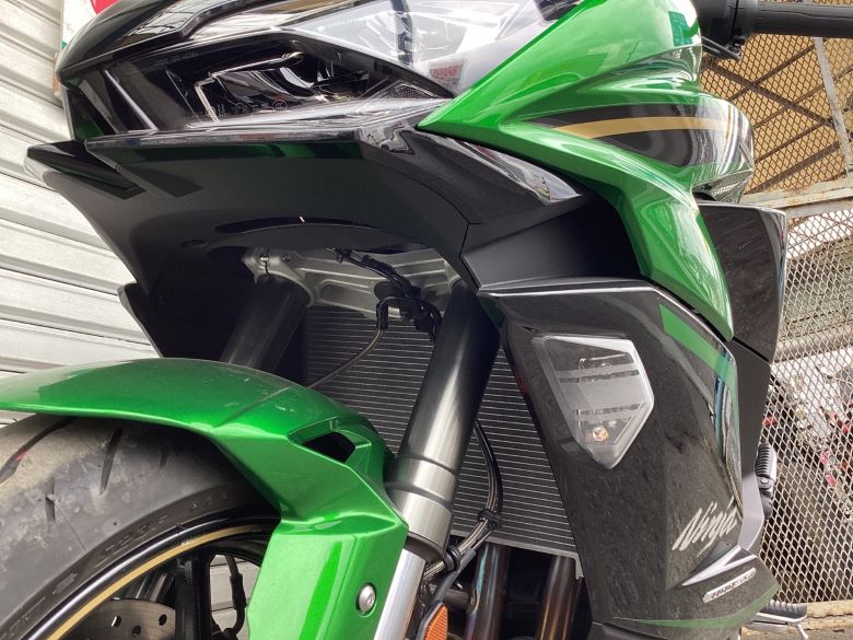 Ｎｉｎｊａ　１１００　ＳＸ　ＳＥ