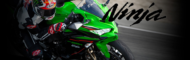 新車 22 KAWASAKI Ｎｉｎｊａ ＺＸ−２５Ｒ ＳＥはとや(HATOYA 